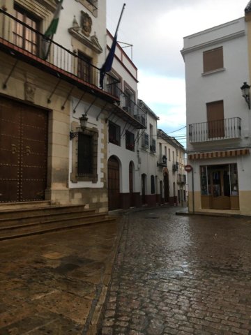 Ayuntamiento c-Concepción - 2020 Pandemia